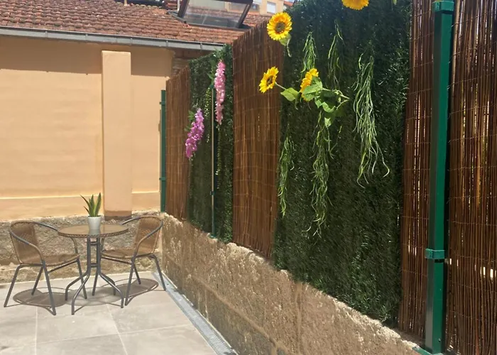 Con Terraza En Pleno Centro De Apartmán